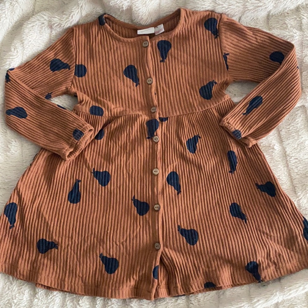 Zara dress
